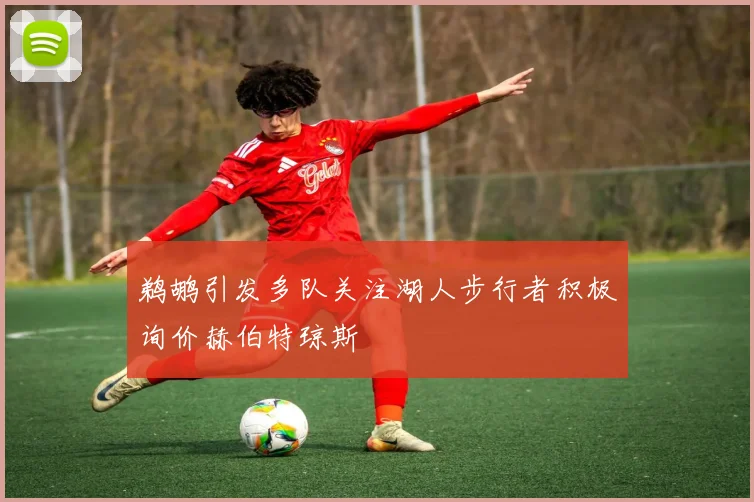 鹈鹕引发多队关注湖人步行者积极询价赫伯特琼斯